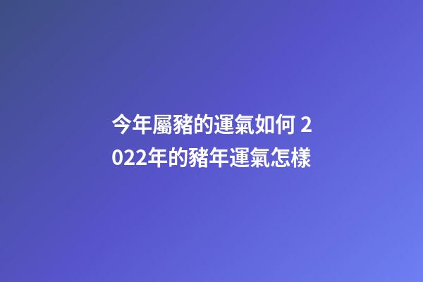 今年屬豬的運氣如何 2022年的豬年運氣怎樣